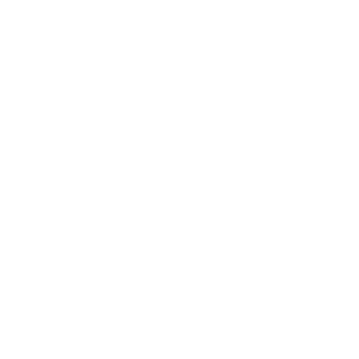 hirter-tschanz_transporte_icon-2